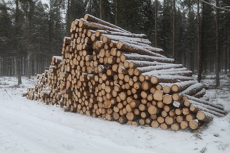 Travelnews.lv dodas 26 km «PostNos» pārgājienā Ložmetējkalna apkaimē 313031