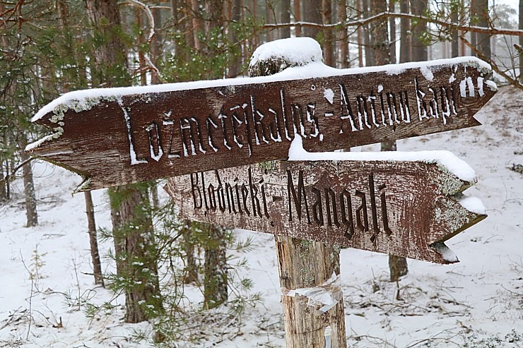 Travelnews.lv dodas 26 km «PostNos» pārgājienā Ložmetējkalna apkaimē 313000