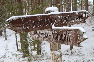 Travelnews.lv dodas 26 km «PostNos» pārgājienā Ložmetējkalna apkaimē 5