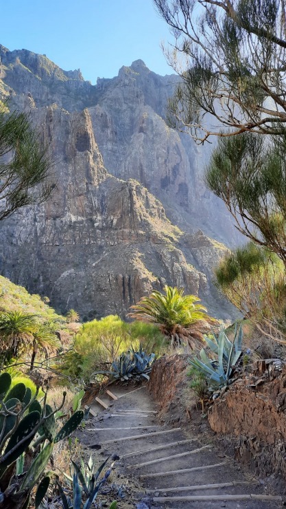 Latviešu ceļotāji dodas dabas pārgājienos Spānijas Tenerifes salā. Foto: Iveta Reiere 313360