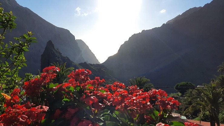 Latviešu ceļotāji dodas dabas pārgājienos Spānijas Tenerifes salā. Foto: Iveta Reiere 313363