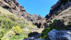 Latviešu ceļotāji dodas dabas pārgājienos Spānijas Tenerifes salā. Foto: Iveta Reiere 16