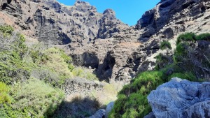 Latviešu ceļotāji dodas dabas pārgājienos Spānijas Tenerifes salā. Foto: Iveta Reiere 3