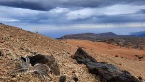 Tenerife sala ir viena no populārākajām pārgājienu vietām Eiropā. Foto: Iveta Reiere 23