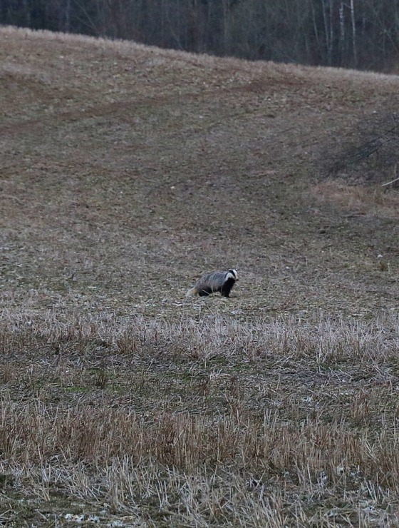 Travelnews.lv veic 35 km pārgājienu Krāslavas novada Kaziņču apkārtnē 315729