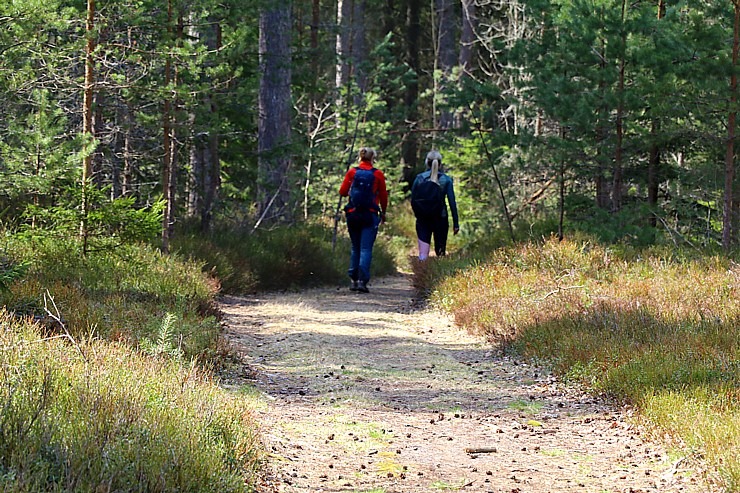 Travelnews.lv veic 32 km pārgājienu Mērsraga apkaimē 316055