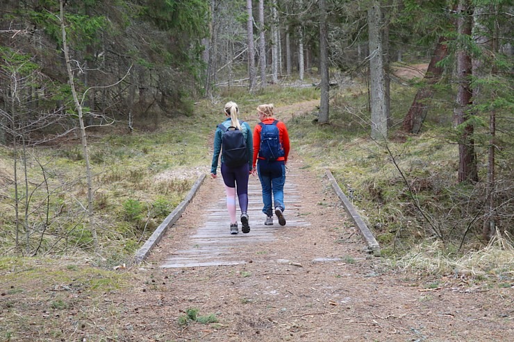 Travelnews.lv veic 32 km pārgājienu Mērsraga apkaimē 316094