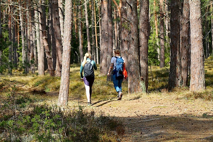 Travelnews.lv veic 32 km pārgājienu Mērsraga apkaimē 316057