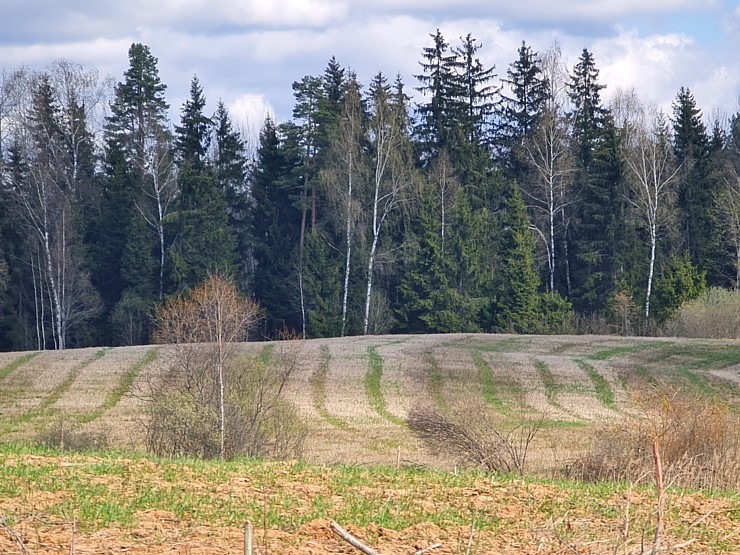 Dodamies 26 km pārgājienā ar suņiem Sivera ezera apkārtnē Krāslavas novadā 316202