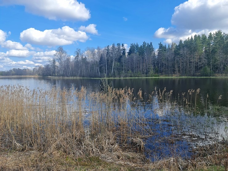 Dodamies 26 km pārgājienā ar suņiem Sivera ezera apkārtnē Krāslavas novadā 316203