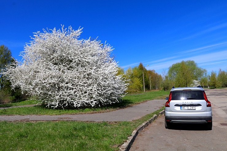 Travelnews.lv apceļo Pierīgu ar jauno un 7.vietīgo ģimenes spēkratu «Dacia Jogger» 316723