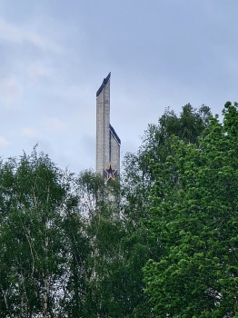 Rīgā Latvijas patrioti iziet masveidīgā gājienā «Par atbrīvošanos no padomju mantojuma» 9