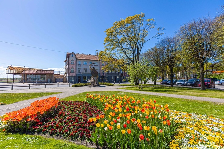 Jūrmala šobrīd tulpju galvaspilsēta Latvijā. Foto: Artis Veigurs 317482