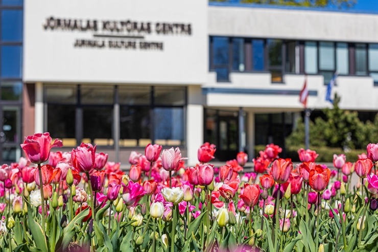 Jūrmala šobrīd tulpju galvaspilsēta Latvijā. Foto: Artis Veigurs 317475