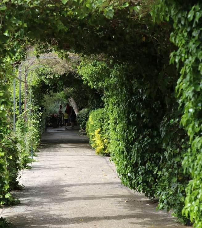 Travelnews.lv iepazīst Maļorkas tropu dārzu un populāru kāzu vietu «Jardines de Alfabia». Sadarbībā ar Latvijas tūrisma firmu «Atlantic Travel» 317886