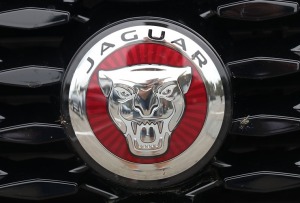Travelnews.lv ar jaudīgiem vāģiem «Jaguar F-Pace SVR» un «Jaguar F-Type» dodas Biķernieku trasē 35