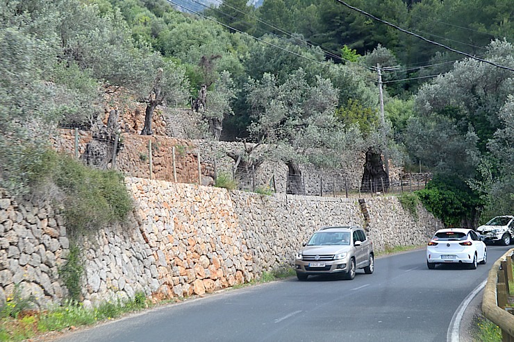 Travelnews.lv dodas ekskursijā Maļorkas ziemeļos pa auto maršrutu: Valldemossa - Soļera. Sadarbībā ar Latvijas tūrisma firmu «Atlantic Travel» 318153