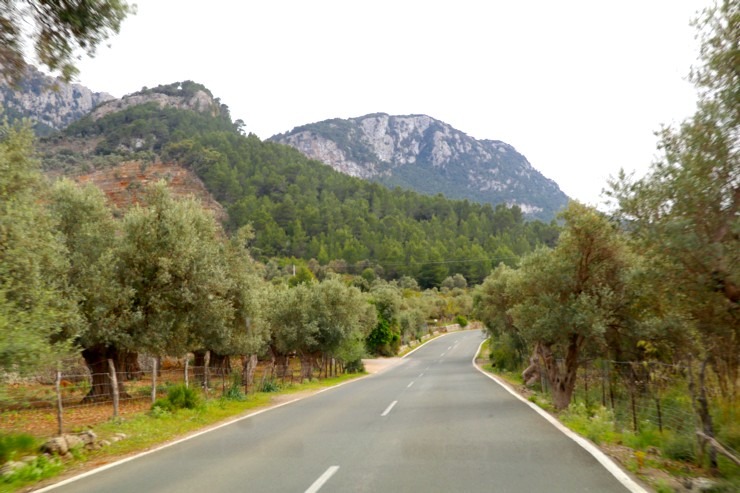 Travelnews.lv dodas ekskursijā Maļorkas ziemeļos pa auto maršrutu: Valldemossa - Soļera. Sadarbībā ar Latvijas tūrisma firmu «Atlantic Travel» 318158