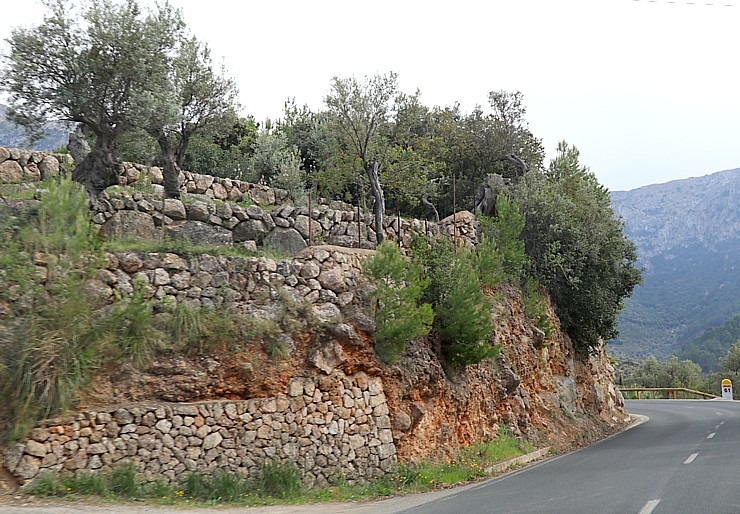 Travelnews.lv dodas ekskursijā Maļorkas ziemeļos pa auto maršrutu: Valldemossa - Soļera. Sadarbībā ar Latvijas tūrisma firmu «Atlantic Travel» 318160