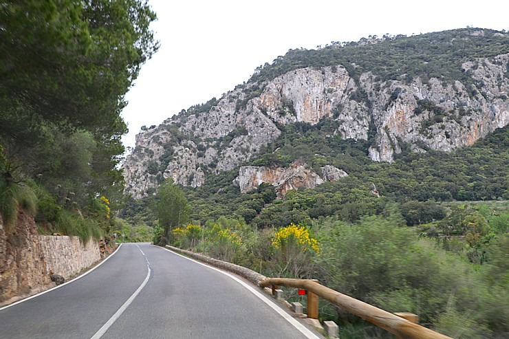 Travelnews.lv dodas ekskursijā Maļorkas ziemeļos pa auto maršrutu: Valldemossa - Soļera. Sadarbībā ar Latvijas tūrisma firmu «Atlantic Travel» 318161