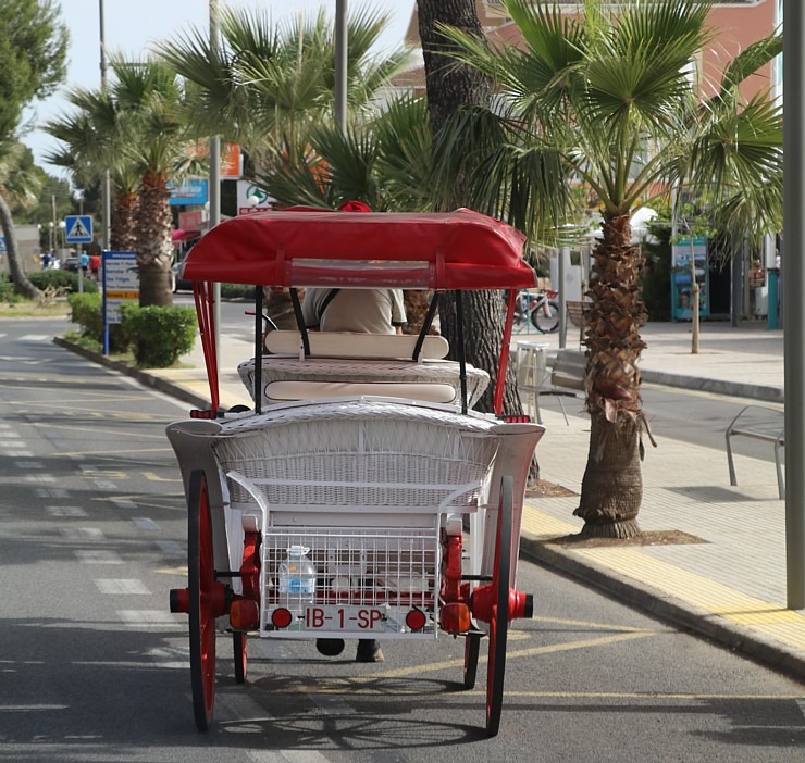 Spānijas Maļorkas sala ir velosipēdistu un pārgājienu tūristu paradīze. Sadarbībā ar Latvijas tūrisma firmu «Atlantic Travel» 318510