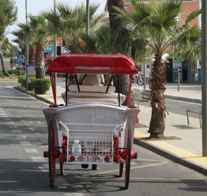 Spānijas Maļorkas sala ir velosipēdistu un pārgājienu tūristu paradīze. Sadarbībā ar Latvijas tūrisma firmu «Atlantic Travel» 31