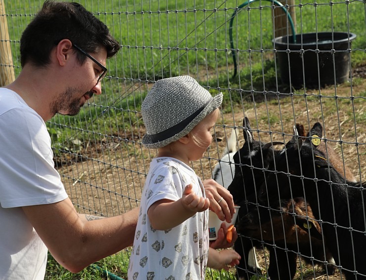 Sadarbībā ar «Avis Latvia» apciemojam jaunatklāto un bērnu sapni «Siguldas ZOO» 319492