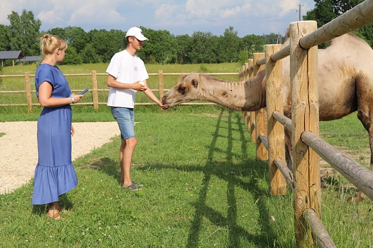 Sadarbībā ar «Avis Latvia» apciemojam jaunatklāto un bērnu sapni «Siguldas ZOO» 319457