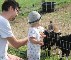 «Siguldas Zoo» piedāvā tiešu kontaktu starp apmeklētāju un dzīvnieku 12