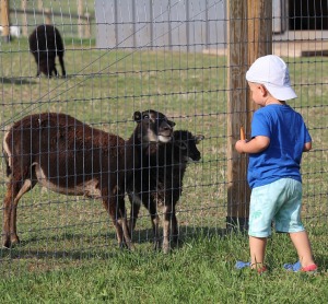 «Siguldas Zoo» piedāvā tiešu kontaktu starp apmeklētāju un dzīvnieku 16