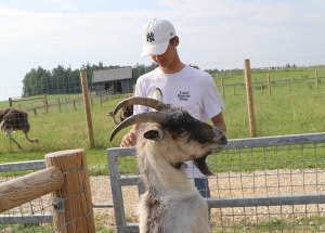 «Siguldas Zoo» piedāvā tiešu kontaktu starp apmeklētāju un dzīvnieku 6
