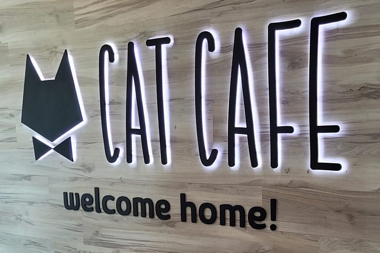Travelnews.lv apmeklē Viļņas kafejnīcu ar kaķiem «Cat Cafe» Foto: Marta Mackeviča 320484