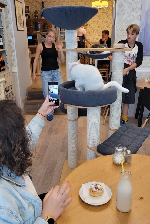 Travelnews.lv apmeklē Viļņas kafejnīcu ar kaķiem «Cat Cafe» Foto: Marta Mackeviča 320486