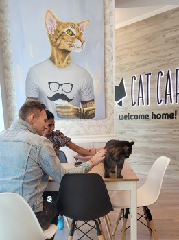 Travelnews.lv apmeklē Viļņas kafejnīcu ar kaķiem «Cat Cafe» Foto: Marta Mackeviča 2