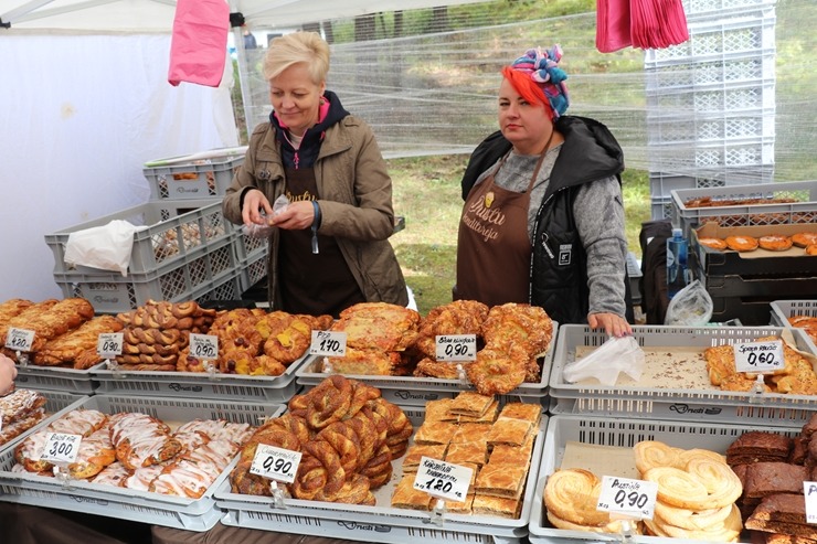 «Mūsdienu amatniecības tirgus 2022» pulcējas Latvijas Etnogrāfiskajā brīvdabas muzejā 323005