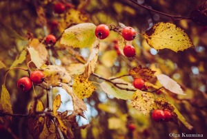 Piedāvājam TOP 20 idejas rudens baudīšanai Augšdaugavas novadā. 14