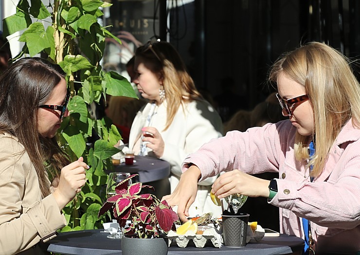 Restorāns «Buržujs» jau desmito reizi organizē grandiozu «Austeru festivālu» Berga bazārā  Restorāns «Buržujs» jau desmito reizi organizē grandiozu «Austeru festivālu» Berga bazārā 323728