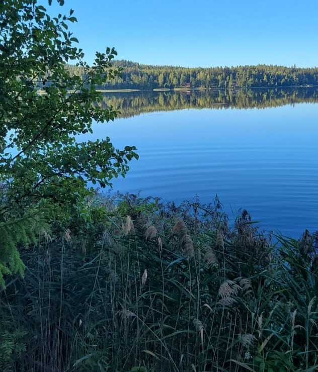 Travelnews.lv apmeklē Somijas brīvdienu māju kompleksu ««Tervakosken Tervaniemi»» 324257