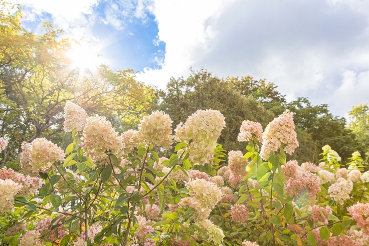 Rudens piedzīvojumā - uz Jūrmalu! Visitjurmala.lv 324519