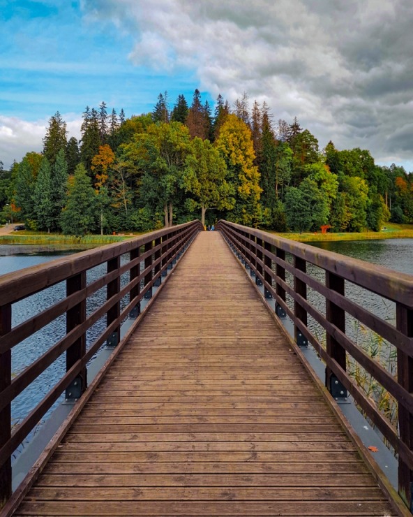 Alūksne gaida ciemos uz rudens pasaku.  Foto: Egons Lācis 325004