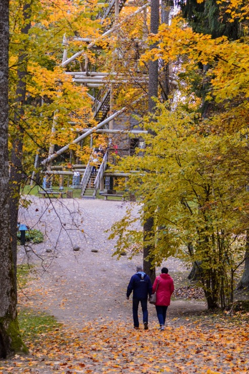 Alūksne gaida ciemos uz rudens pasaku 325016