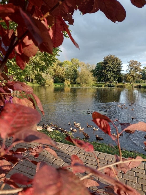 Alūksne gaida ciemos uz rudens pasaku. Foto: Aivija Gritāne 325017