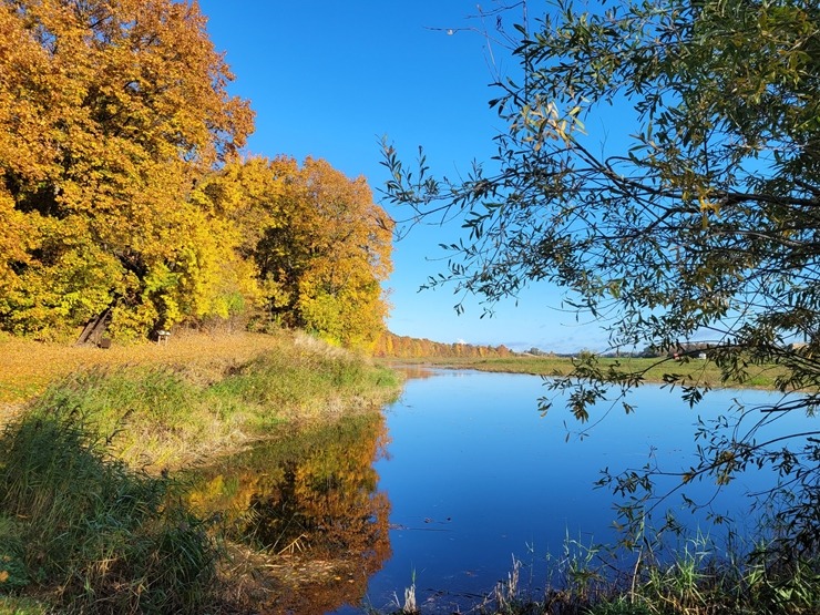 Latvijas apceļotājus pārsteidz atjaunotā Mežotnes baznīca Bauskas novadā. Foto: Ieva Bērziņa 325467