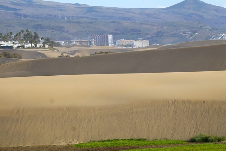 Maspalomas kāpas līdz 20 metru augstumam Grankanāriju salā rada tuksneša sajūtu. Sadarbībā ar Tez Tour Latvia un airBaltic 327734