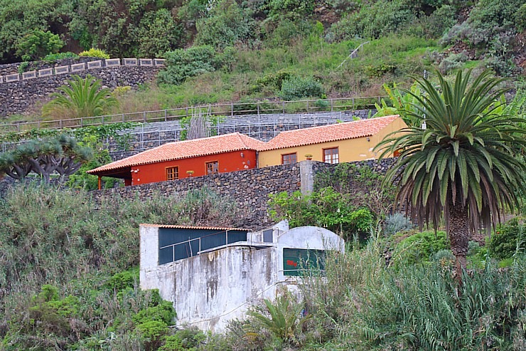 Piedalāmies «Museo de Malvasia» meistarklasē, lai pagatavotu uzkodas Tenerifes vīnam. Sadarbībā ar Tez Tour un airBaltic 329722