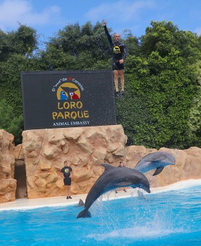 Travelnews.lv apmeklē delfīnu izrādi Tenerifes zooloģiskajā dārzā «Loro Parque». Sadarbībā ar Tez Tour un airBaltic 9