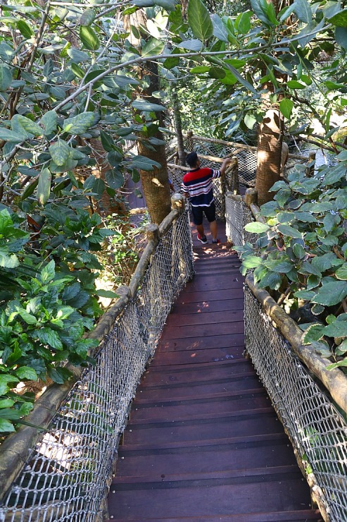 Tenerifes zooloģiskais dārzs «Loro Parque» vispirms slavējas ar papagaiļiem. Sadarbībā ar Tez Tour un airBaltic 330045