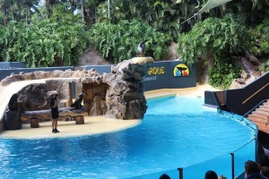 Travelnews.lv apmeklē roņu un zobenvaļu priekšnesumus Tenerifes zooloģiskajā dārzā «Loro Parque». Sadarbībā ar Tez Tour un airBaltic 16