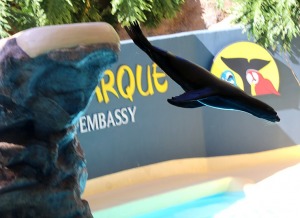 Travelnews.lv apmeklē roņu un zobenvaļu priekšnesumus Tenerifes zooloģiskajā dārzā «Loro Parque». Sadarbībā ar Tez Tour un airBaltic 17