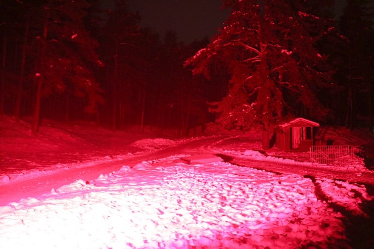 Latvijas Etnogrāfiskajā brīvdabas muzejā atklāts muzikāls «Ziemas gaismas dārzs» 330195